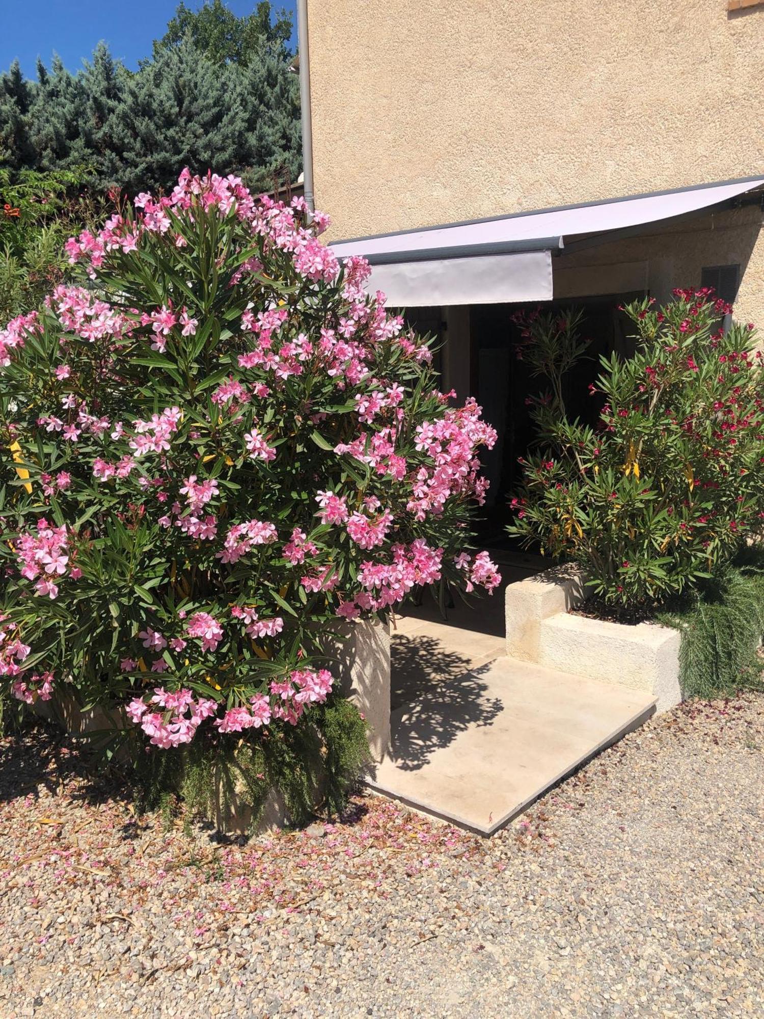 Le Cocon De Provence Apartman Fayence Kültér fotó
